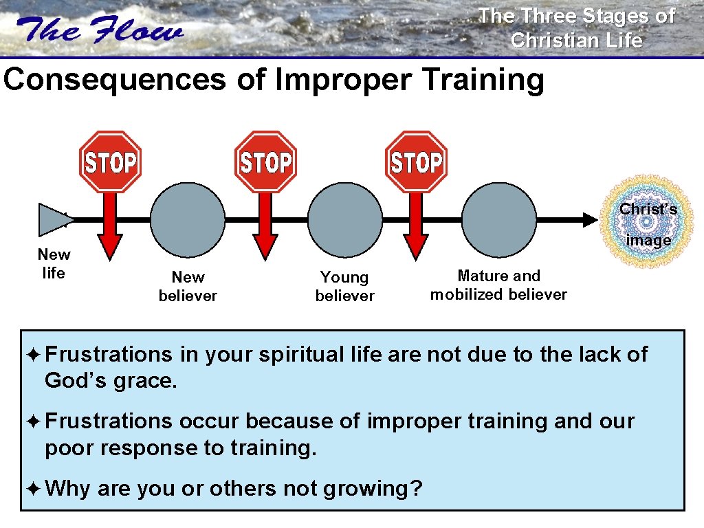 The Three Stages of Christian Life Consequences of Improper Training Christ’s New life image