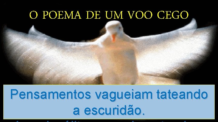 O POEMA DE UM VOO CEGO Pensamentos vagueiam tateando a escuridão. 