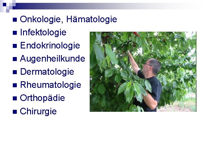 Onkologie, Hämatologie n Infektologie n Endokrinologie n Augenheilkunde n Dermatologie n Rheumatologie n Orthopädie