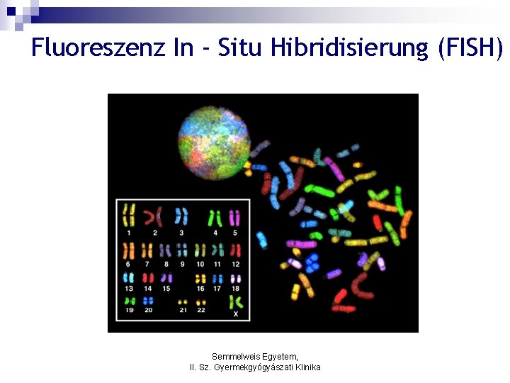 Fluoreszenz In - Situ Hibridisierung (FISH) Semmelweis Egyetem, II. Sz. Gyermekgyógyászati Klinika 