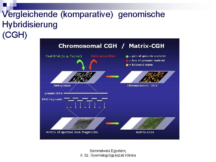 Vergleichende (komparative) genomische Hybridisierung (CGH) Semmelweis Egyetem, II. Sz. Gyermekgyógyászati Klinika 