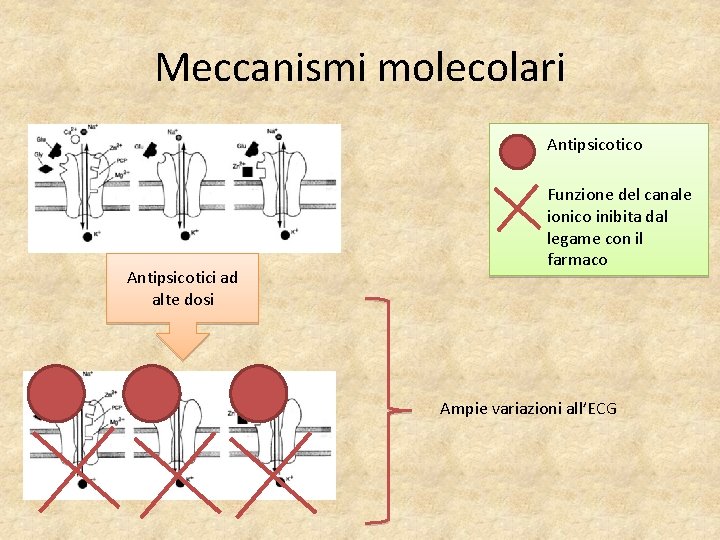 Meccanismi molecolari Antipsicotico Antipsicotici ad alte dosi Funzione del canale ionico inibita dal legame