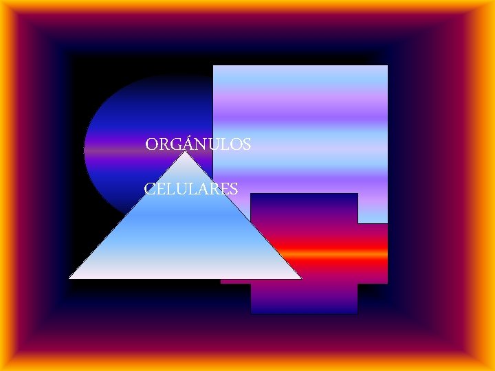 ORGÁNULOS CELULARES 