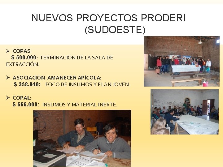 NUEVOS PROYECTOS PRODERI (SUDOESTE) Ø COPAS: $ 500. 000: TERMINACIÓN DE LA SALA DE