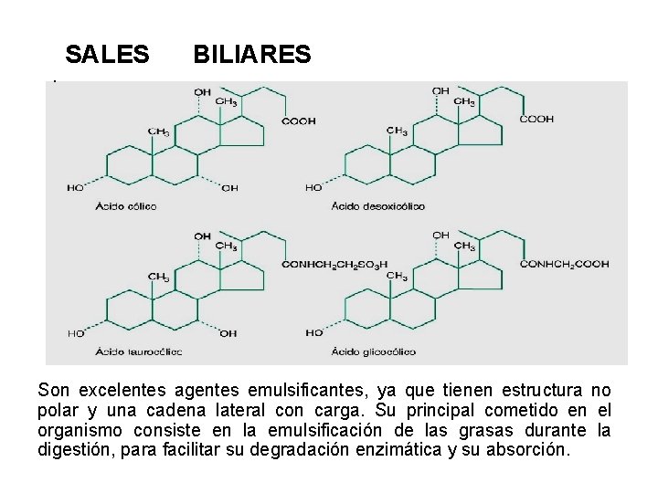 Estructura Quimica De Las Sales Biliares