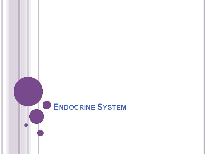 ENDOCRINE SYSTEM 