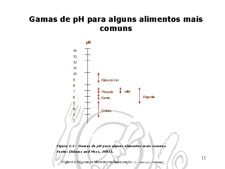 Gamas de p. H para alguns alimentos mais comuns Figura 1. 1 – Gamas