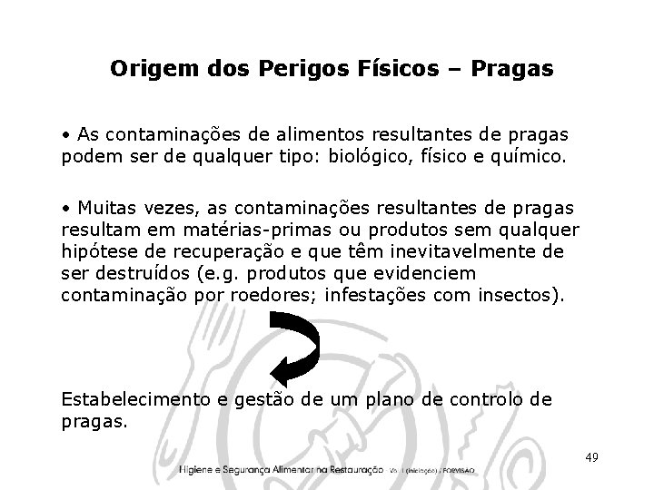 Origem dos Perigos Físicos – Pragas • As contaminações de alimentos resultantes de pragas