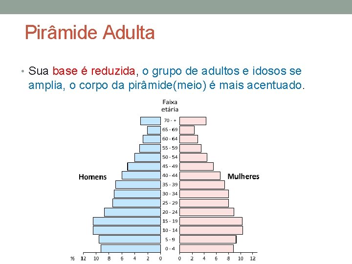 Pirâmide Adulta • Sua base é reduzida, o grupo de adultos e idosos se