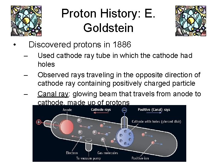 Proton History: E. Goldstein • Discovered protons in 1886 – – – Used cathode