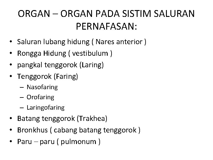 ORGAN – ORGAN PADA SISTIM SALURAN PERNAFASAN: • • Saluran lubang hidung ( Nares