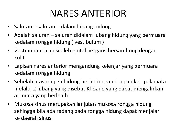 NARES ANTERIOR • Saluran – saluran didalam lubang hidung • Adalah saluran – saluran