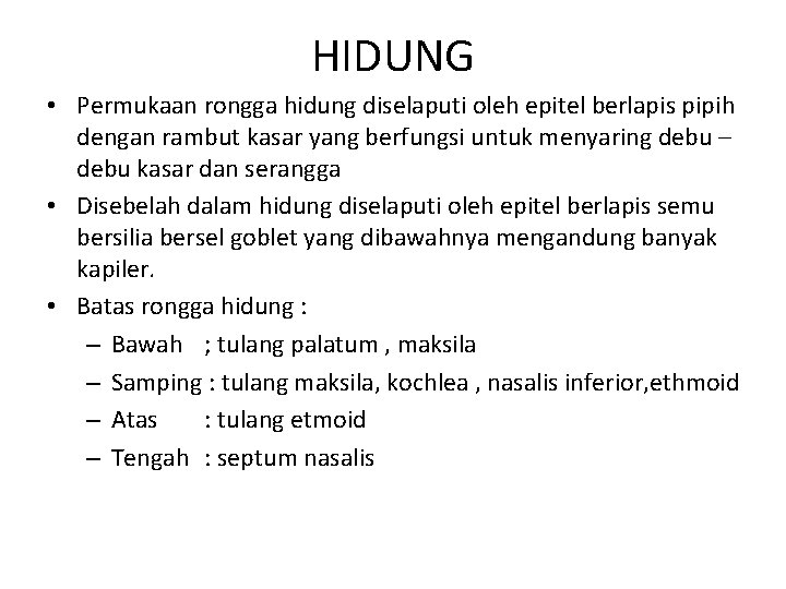 HIDUNG • Permukaan rongga hidung diselaputi oleh epitel berlapis pipih dengan rambut kasar yang