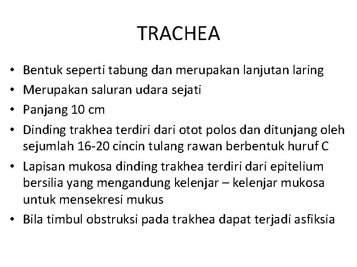 TRACHEA Bentuk seperti tabung dan merupakan lanjutan laring Merupakan saluran udara sejati Panjang 10