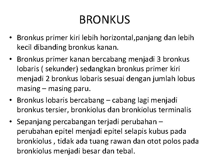 BRONKUS • Bronkus primer kiri lebih horizontal, panjang dan lebih kecil dibanding bronkus kanan.