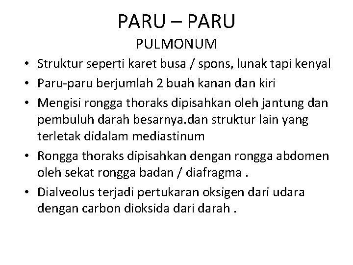 PARU – PARU PULMONUM • Struktur seperti karet busa / spons, lunak tapi kenyal