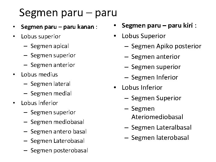 Segmen paru – paru • Segmen paru – paru kanan : • Lobus superior