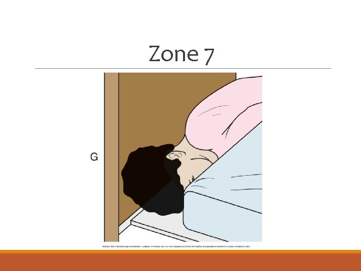 Zone 7 