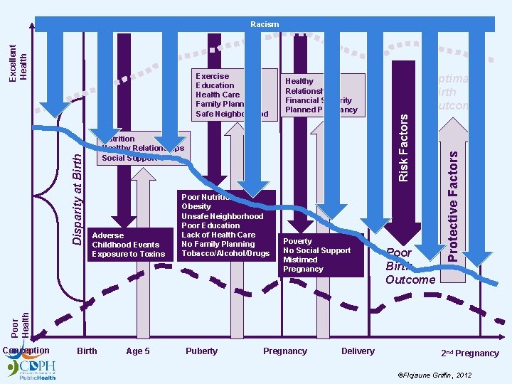 Nutrition Healthy Relationships Social Support Adverse Childhood Events Exposure to Toxins Poor Nutrition Obesity
