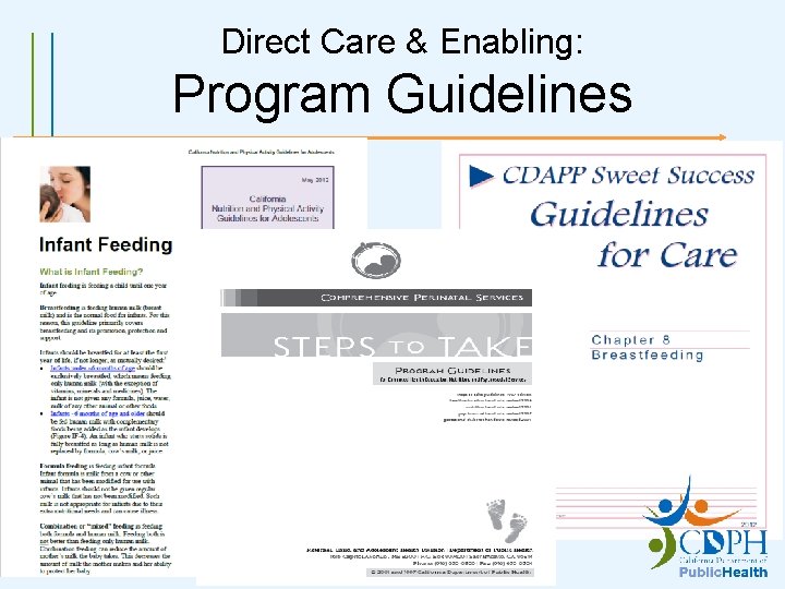 Direct Care & Enabling: Program Guidelines 
