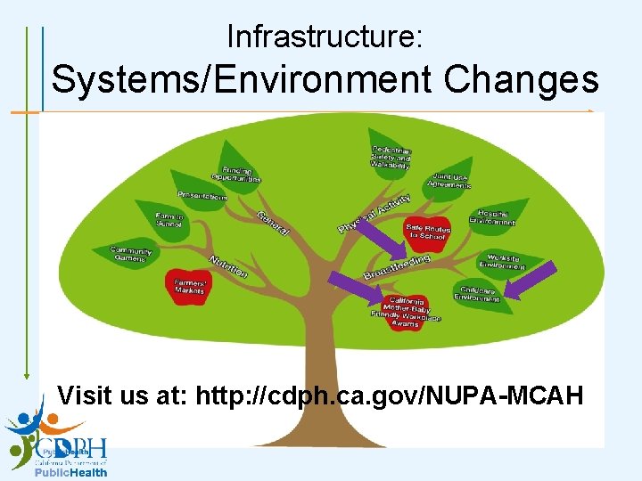 Infrastructure: Systems/Environment Changes Visit us at: http: //cdph. ca. gov/NUPA-MCAH 