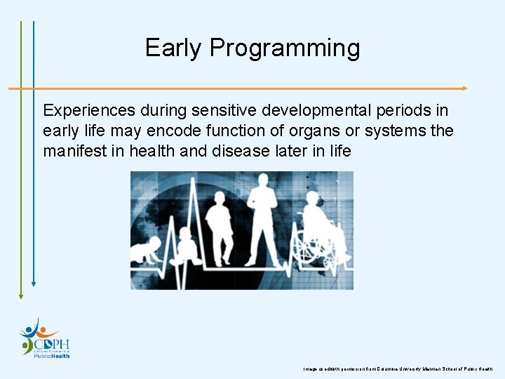 Early Programming Experiences during sensitive developmental periods in early life may encode function of