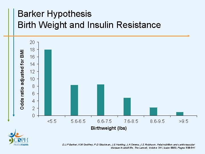 Barker Hypothesis Birth Weight and Insulin Resistance Odds ratio adjusted for BMI 20 18