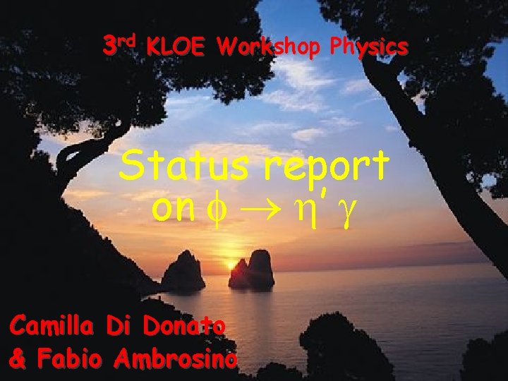 3 rd KLOE Workshop Physics Status report on f h’ g Camilla Di Donato