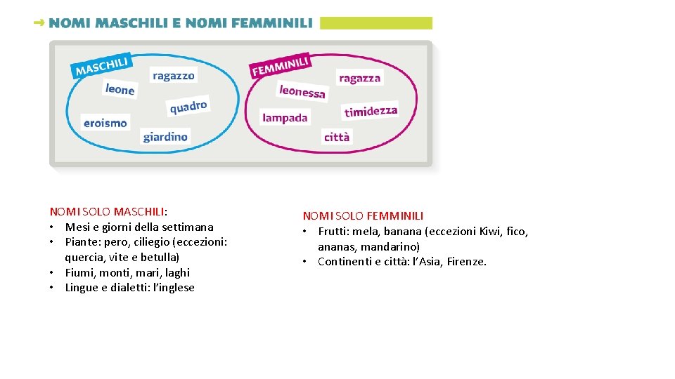 NOMI SOLO MASCHILI: • Mesi e giorni della settimana • Piante: pero, ciliegio (eccezioni: