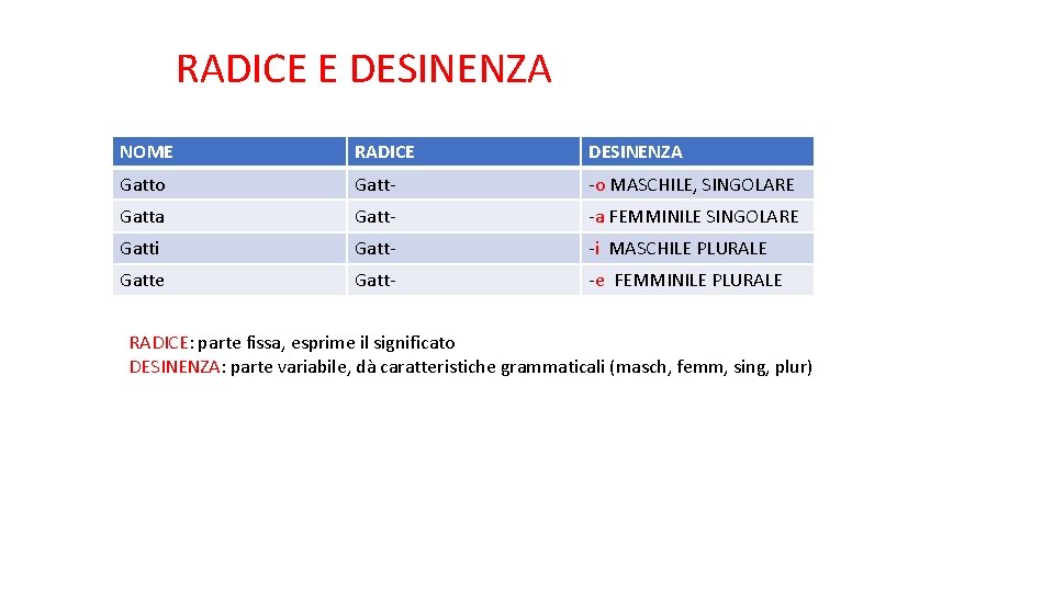 RADICE E DESINENZA NOME RADICE DESINENZA Gatto Gatt- -o MASCHILE, SINGOLARE Gatta Gatt- -a