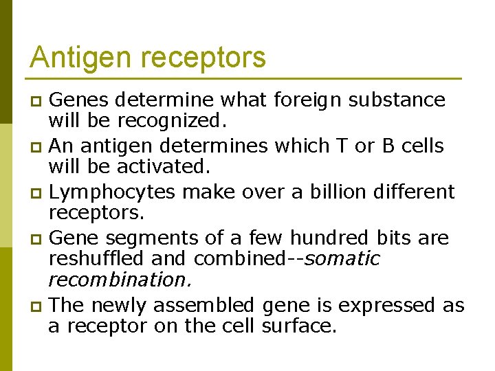 Antigen receptors Genes determine what foreign substance will be recognized. p An antigen determines