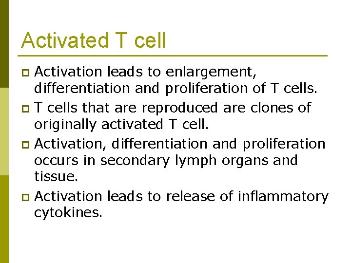 Activated T cell Activation leads to enlargement, differentiation and proliferation of T cells. p