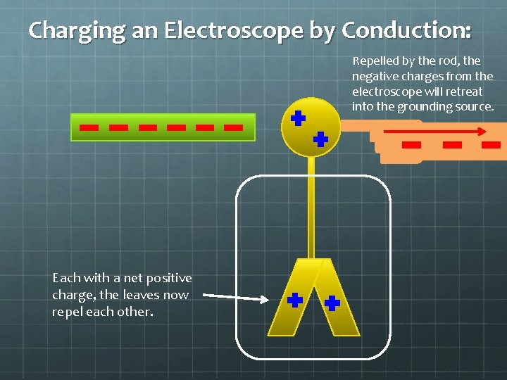 Charging an Electroscope by Conduction: Repelled by the rod, the negative charges from the