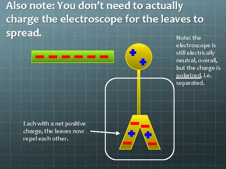 Also note: You don’t need to actually charge the electroscope for the leaves to