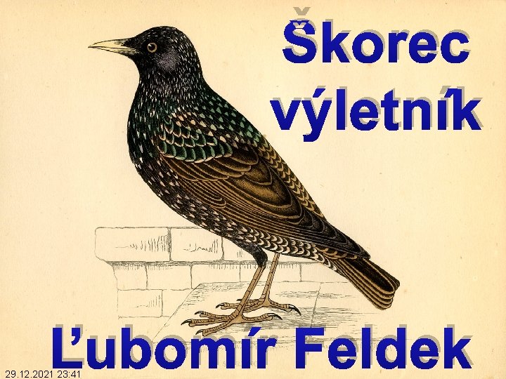 Škorec výletník Ľubomír Feldek 29. 12. 2021 23: 41 