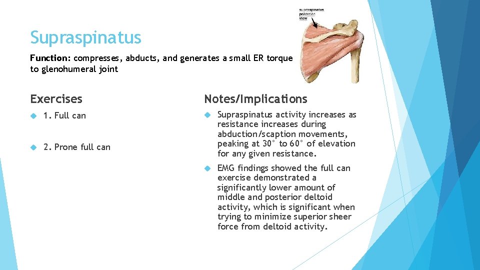 Supraspinatus Function: compresses, abducts, and generates a small ER torque to glenohumeral joint Exercises Supraspinatus Function: compresses, abducts, and generates a small ER torque to glenohumeral joint Exercises
