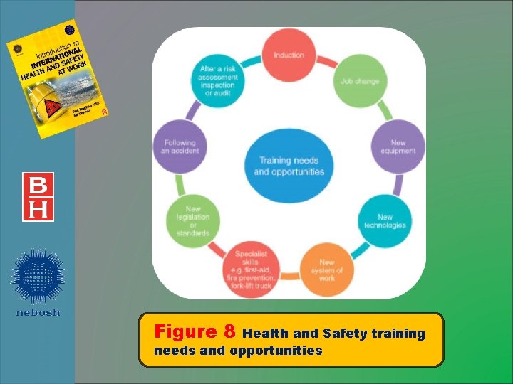 Figure 8 Health and Safety training needs and opportunities 
