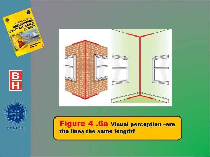 Figure 4. 6 a Visual perception –are the lines the same length? 