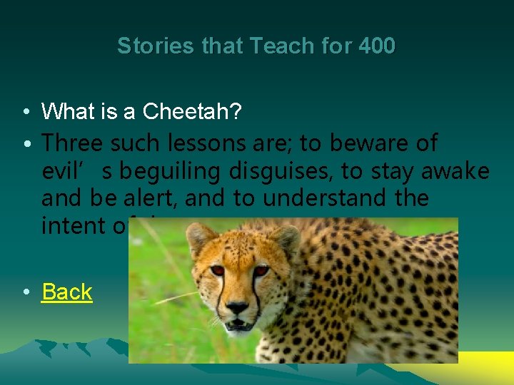 Stories that Teach for 400 • What is a Cheetah? • Three such lessons