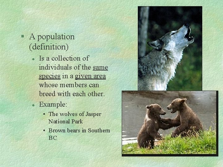 § A population (definition) l l Is a collection of individuals of the same