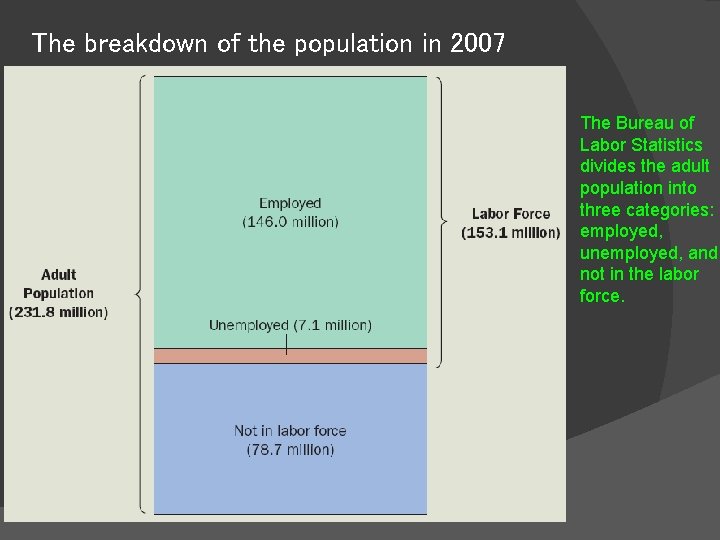 The breakdown of the population in 2007 The Bureau of Labor Statistics divides the