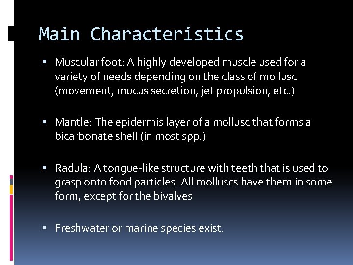 Main Characteristics Muscular foot: A highly developed muscle used for a variety of needs