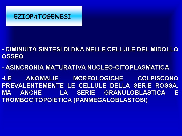 EZIOPATOGENESI - DIMINUITA SINTESI DI DNA NELLE CELLULE DEL MIDOLLO OSSEO - ASINCRONIA MATURATIVA