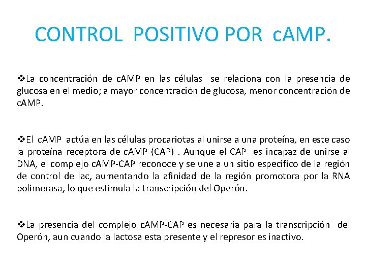 CONTROL POSITIVO POR c. AMP. v. La concentración de c. AMP en las células