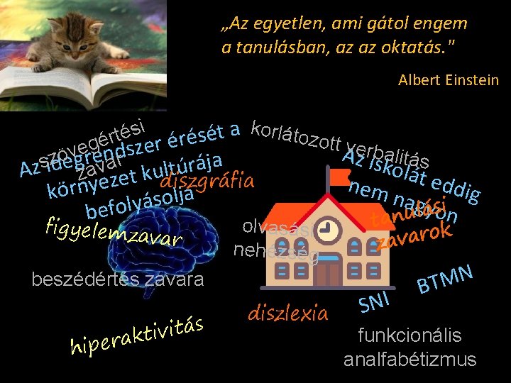 „Az egyetlen, ami gátol engem a tanulásban, az az oktatás. " Albert Einstein i