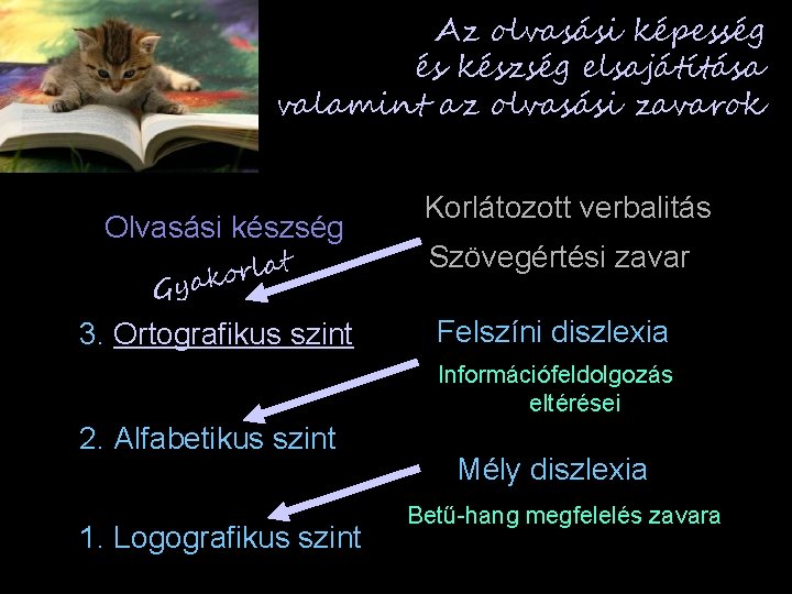 Az olvasási képesség és készség elsajátítása valamint az olvasási zavarok Olvasási készség t a