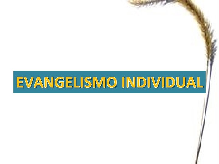 EVANGELISMO INDIVIDUAL 