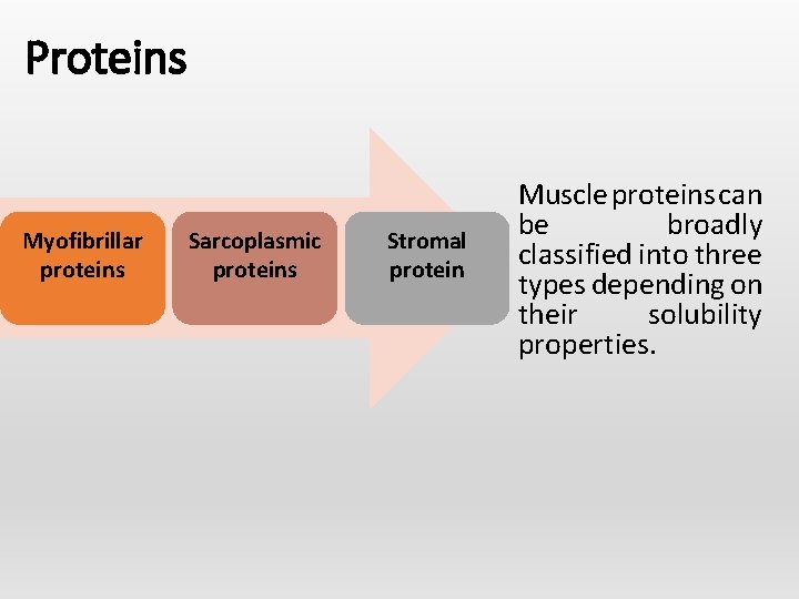Proteins Myofibrillar proteins Sarcoplasmic proteins Stromal protein Muscle proteins can be broadly classified into