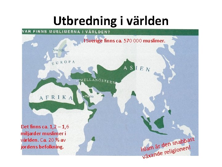 Utbredning i världen I Sverige finns ca. 570 000 muslimer. Det finns ca. 1,