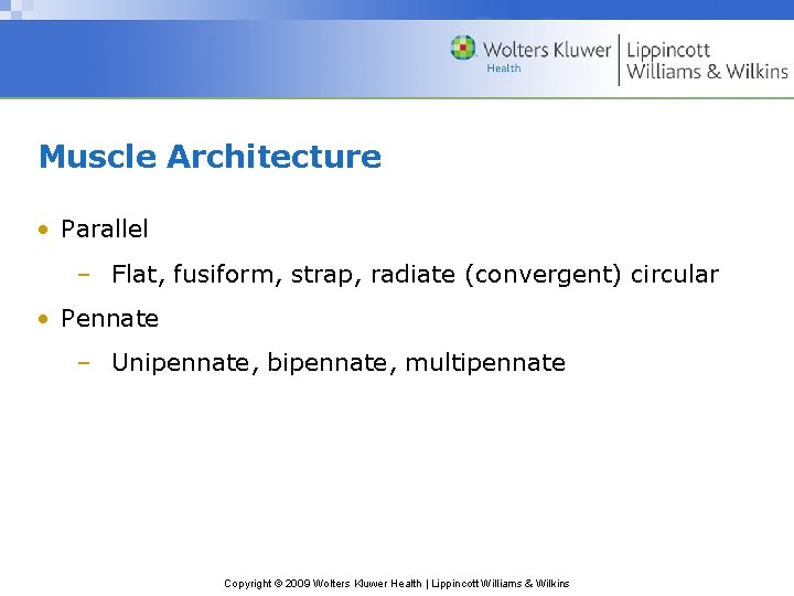 Chapter 3 Muscular Considerations for Movement Copyright 2009